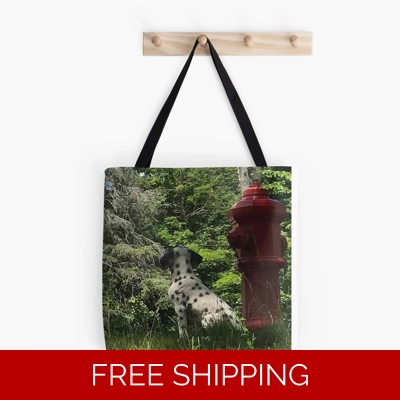 Le Studio Tote Bag Rush Signals Monument Back 2020